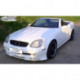 RDX Frontspoiler VARIO-X MERCEDES SLK R170 2000+