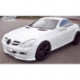 RDX Frontspoiler VARIO-X MERCEDES SLK R171 -2008