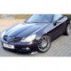 RDX Frontspoiler VARIO-X MERCEDES SLK R171 -2008