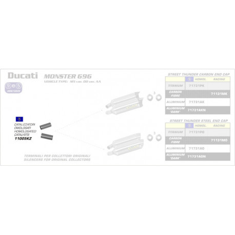 Einschubkatalysator für verschiedene Modelle DUCATI MONSTER 696 11005KZ