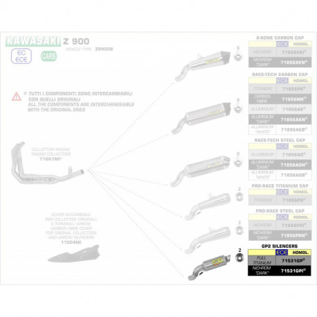 Arrow Endschalldämpfer GP2 Edelstahl Schwarz KAWASAKI Z 900 71531GPI