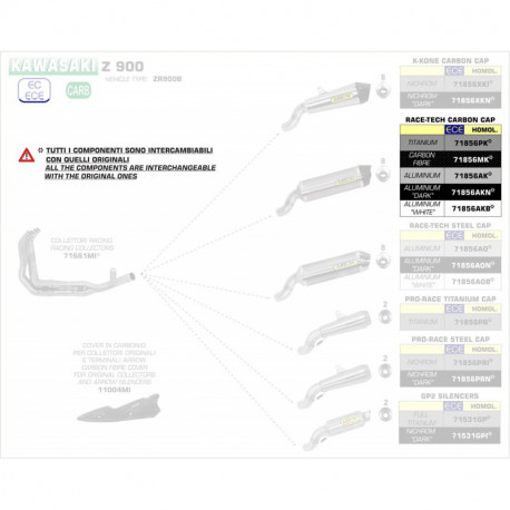 Arrow Endschalldämpfer Race-Tech Carbon mit Carbonendkappe KAWASAKI Z 900 71856MK