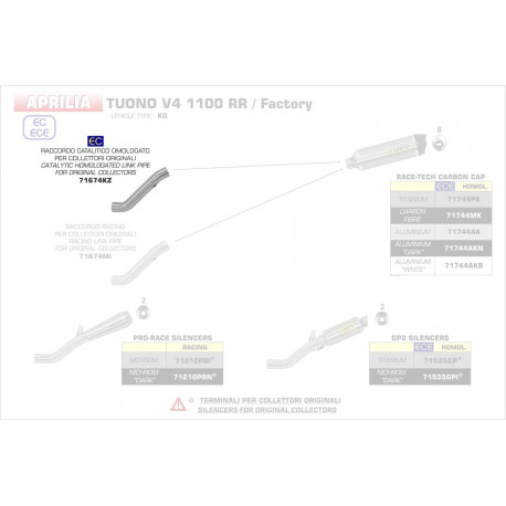 Arrow Verbindungsrohr mit Kat APRILIA TUONO V4 1100 FACTORY 71674KZ