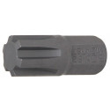 Bit, RIBE®, M12, 30 mm